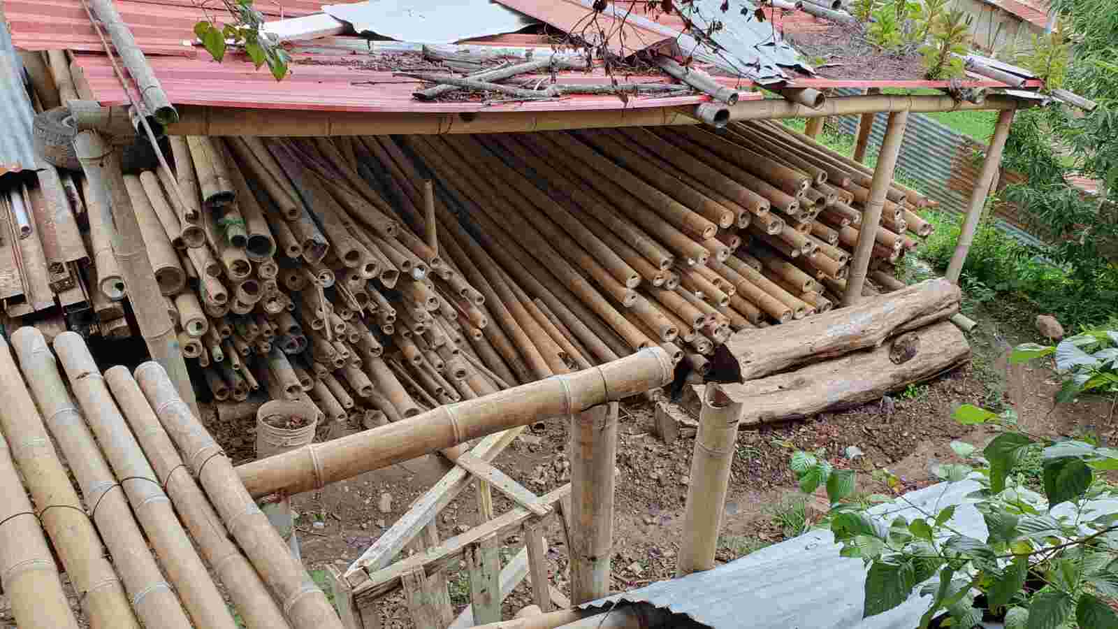 Bambuslagerung im Unterstand
