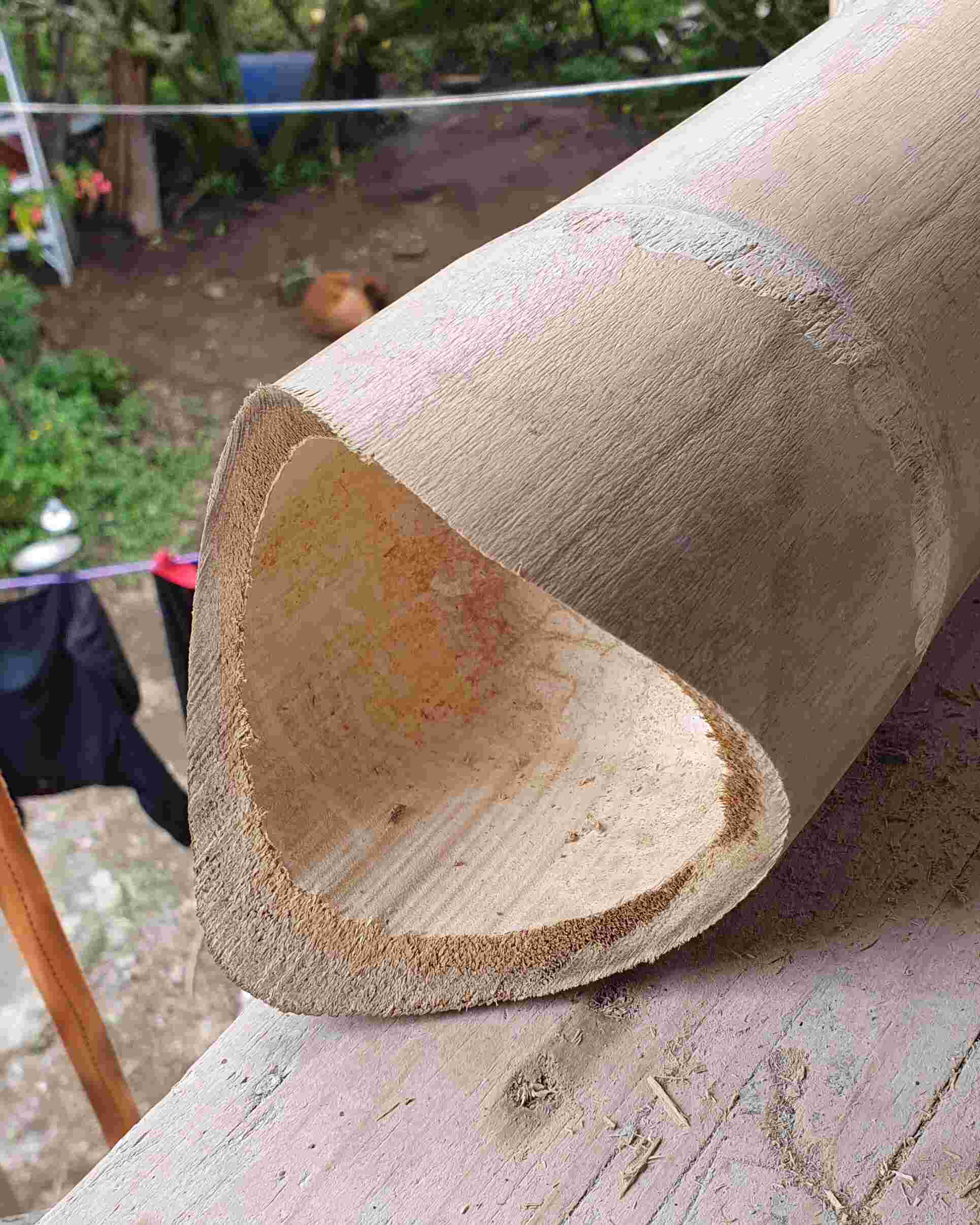 Zugeschnittenes Bambusrohr